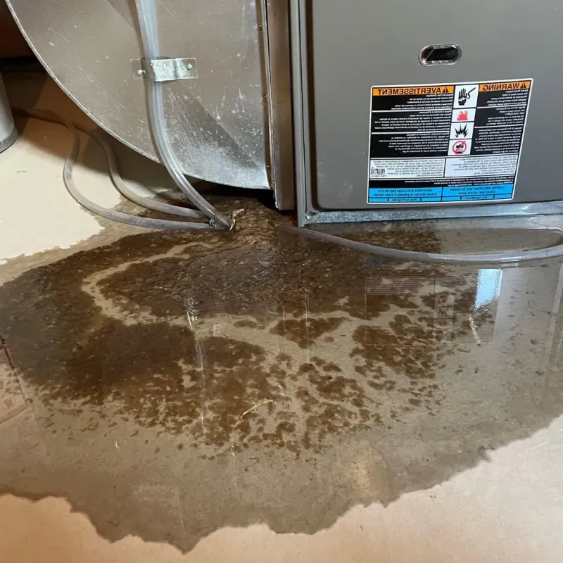 Pipe Burst and Leak Restoration in Southmont, PA