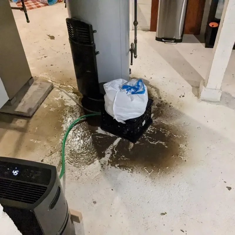 Sewage Backup Cleanup Service in Southmont, PA